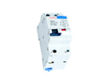 C60NLE Earth Leakage Circuit Breaker with Over Current Protection